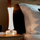 💎 50% KORTING! 🛁 Kristallen Tafellamp – 3 Lichtmodi voor Elke Stemming. Instelbare helderheid, elegant design, perfect voor slaapkamer, woonkamer & kantoor. ✨