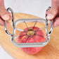 Coupe-pommes en acier inoxydable 5-en-1