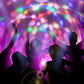 💥NIEUW PRODUCT❗ KLEURRIJKE DRAAIENDE BOL DISCO🕺💃