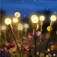 ⏳Limited-time 50% off⏰Solar Powered Firefly Light🌟