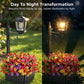 📢📢50% DE RÉDUCTION !! ⏰Lampe Solaire de Jardin à Base Jardinière – Éclairage Autonome & Déco Élégante 🌙
