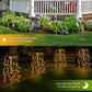 💡 KOOP 3, KRIJG 1 GRATIS! ☀️ Decoratieve buitenverlichting op zonne-energie – Creëer een prachtige sfeer in je tuin of op je pad, schakelt automatisch aan/uit en is weerbestendig 🏡