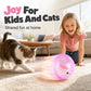 🥳2026 TOPVERKOOP🥳💞50K+ VERKOCHT! 💖🐱Interactieve Pluche Dier Rollende Bal