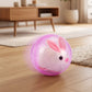 🥳2026 TOPVERKOOP🥳💞50K+ VERKOCHT! 💖🐱Interactieve Pluche Dier Rollende Bal