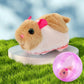 🥳2026 TOPVERKOOP🥳💞50K+ VERKOCHT! 💖🐱Interactieve Pluche Dier Rollende Bal