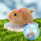 🥳2026 TOPVERKOOP🥳💞50K+ VERKOCHT! 💖🐱Interactieve Pluche Dier Rollende Bal