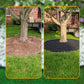 🏡 50% DE RÉDUCTION! 🌿 Bordure de Jardin 10m avec 30 Piquets – PE durable, découpe facile & pose rapide – Idéale pour délimiter pelouses & massifs 🌱