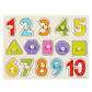 🧩 50% KORTING! 🌳 Montessori Houten Pennenlegpuzzel – Massief Multiplex – Brede Pennen & Versterkte Klinknagels voor Baby's 1-3 Jaar