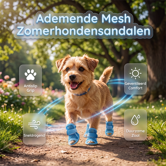 🔥 Speciale Prijs Laatste Dag💥⚡Lichtgewicht Antislip Hondenschoenen van Gaas ☀️🐶 | Geschikt voor Binnen & Buiten op Elk Terrein🐾
