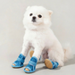 🔥 Speciale Prijs Laatste Dag💥⚡Lichtgewicht Antislip Hondenschoenen van Gaas ☀️🐶 | Geschikt voor Binnen & Buiten op Elk Terrein🐾