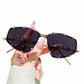 🕶️ -50%! ✨ Chica zonnebril voor dames met strassteentjes – koperlegering + AC glazen – geometrisch montuur UV400 & gezichtssmallend effect 💎