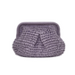 Handgeweven Stro Handtas voor Dames