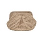 Handgeweven Stro Handtas voor Dames