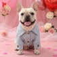 👗 Cute Princess Denim Dog Jacket – Stylish Adjustable Clothing for Small & Medium Dogs, Soft Washed Denim with Bow Accent 🐩✨