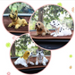 💥Tijdelijke aanbieding!🔥 Schattige Hond Bobblehead Auto Dashboard Decoratie