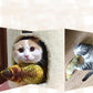 Pet Favorite: Electric Fish Toys 🐱🐶