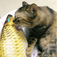 Pet Favorite: Electric Fish Toys 🐱🐶
