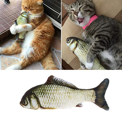 Pet Favorite: Electric Fish Toys 🐱🐶