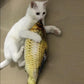 Pet Favorite: Electric Fish Toys 🐱🐶