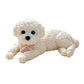 🧸 50% KORTING! 🐶 Knijp Teddyhond – Stressverlichting, Zacht & Schattig ✨