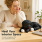 🧸 50% KORTING! 🐶 Knijp Teddyhond – Stressverlichting, Zacht & Schattig ✨