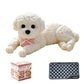 🧸 50% KORTING! 🐶 Knijp Teddyhond – Stressverlichting, Zacht & Schattig ✨