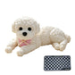 🧸 50% KORTING! 🐶 Knijp Teddyhond – Stressverlichting, Zacht & Schattig ✨