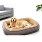 📢📢50% KORTING!! ⏰Comfortabel Huisdierbed – Ondersteunend Schuim & Ademende Dubbele Textuur voor een Gezellige Rust.