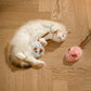⏰Limited-Time 50% Off 🐭Smart Electric Mouse Cat Toy｜Automatic Moving Interactive Toy For Indoor Cats 🐱