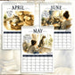 🐱🔥 50% KORTING! 2027 Katten Muurkalender – Maandelijkse Schattige Katten, Groot Datarooster, Dik Papier, Wanddecoratie voor Thuis & Kantoor ✨