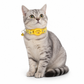 Reflecterende kattenhalsband met waterdichte slimme huisdiertracker