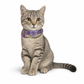 Reflecterende kattenhalsband met waterdichte slimme huisdiertracker