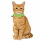 Reflecterende kattenhalsband met waterdichte slimme huisdiertracker