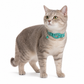 Reflecterende kattenhalsband met waterdichte slimme huisdiertracker