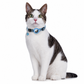 Reflecterende kattenhalsband met waterdichte slimme huisdiertracker